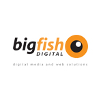 Big Fish Digital team logo